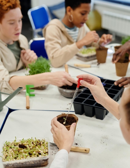 Programa de Educação ambiental - Oldesa Mineração