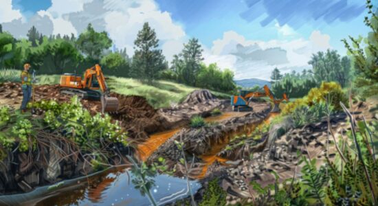 Conservação e Restauração Ambiental - EcoCorp