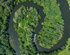 O QUE SÃO COTAS DE RESERVA AMBIENTAL? - EcoCorp