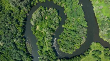 O QUE SÃO COTAS DE RESERVA AMBIENTAL? - EcoCorp
