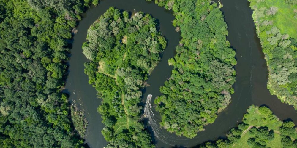 O QUE SÃO COTAS DE RESERVA AMBIENTAL? - EcoCorp