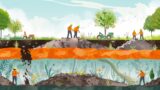 Recuperação de Áreas Degradadas e Remediação de Locais Contaminados - EcoCorp